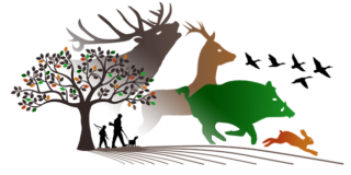 Repas de chasse à emporter